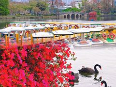 -东山湖公园