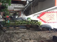 小洲村-小洲村