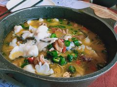 肥肠鱼-赵小姐丨新中餐(曲江店)
