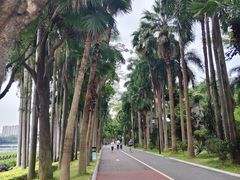 -南宁南湖公园