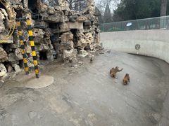 -保定市动物园