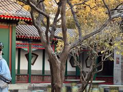 -宫事颐庭·老佛爷贵寿下午茶(颐和园店)