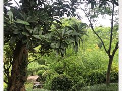 -宝界山林公园