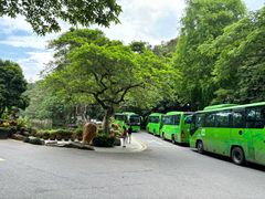 -深圳仙湖植物园