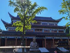 -武陵山森林公园