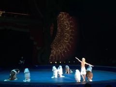 -珠海横琴长隆《卡卡虎奇遇记》