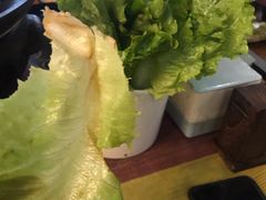 生菜-胡悦里韩式烤肉(芝罘万达广场店)