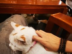 -五彩凉山自助西昌烧烤(柳翠路店)