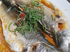 清蒸天然午鱼-小莆天(元帅路店)
