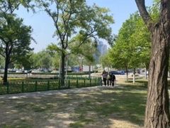 -泰丰公园
