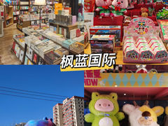 -枫蓝国际购物中心