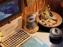 -樹下遇见树·咖啡