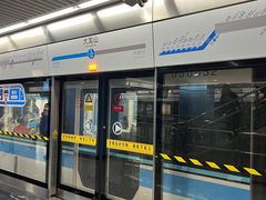 -大龙山(地铁站)