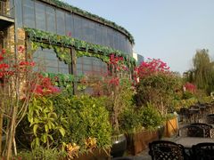 -时光码头民谣公社