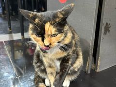 -黔府豆米火锅野菜馆(南马店)