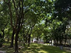 -深圳国际园林花卉博览园