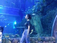 -华夏文旅海洋公园