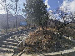 -阳台山自然风景区