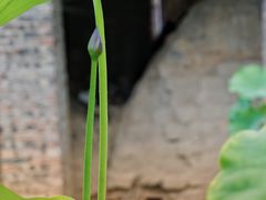 -远山有窑