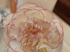 -眉州东坡(亚运村店)