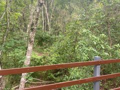 -野象谷景区