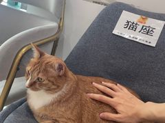-Best U照相馆证件照·外拍(五角场店)