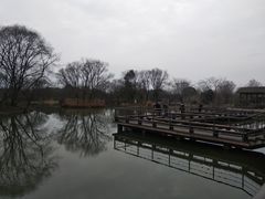 -西溪国家湿地公园