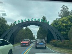 -黄海国家森林公园