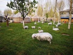 -九十九顶毡房(阜石路店)