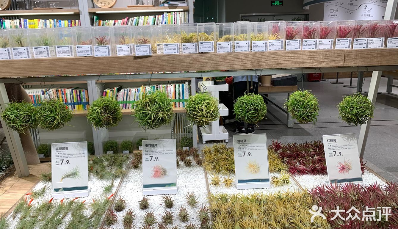 所有的花花价格都不贵，特别好看！
