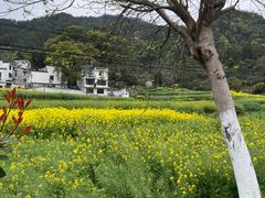 -上坦村