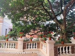 -香港大学