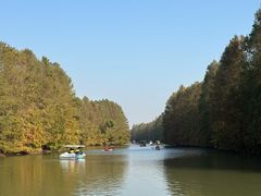 -上海海湾国家森林公园