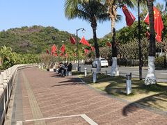 -野狸岛