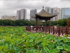 -南宁南湖公园