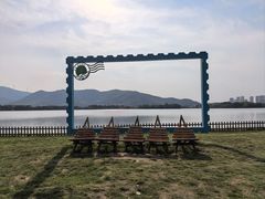 -长兴太湖图影湿地文化园