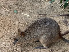 -费瑟代尔野生动物园