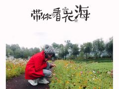 -长兴太湖图影湿地文化园