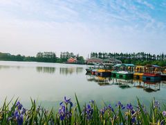 -上海长兴岛郊野公园