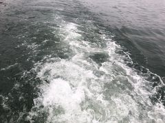 -西湖外事游船(花港观鱼码头)