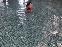 -南宫温泉水世界