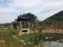 -龙寺生态园