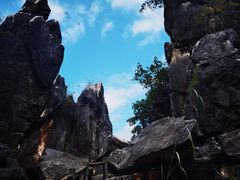 -玉石林风景区