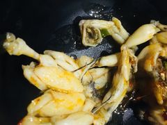 -靓蛙馆