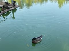 -中家鑫园温泉酒店鑫悦汤泉