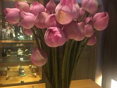 -西贡日航酒店