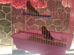 -蓝鲸湾汤泉(包河店)