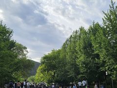-晋祠公园