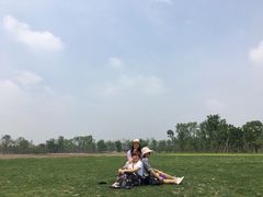 -白鹭湾湿地公园