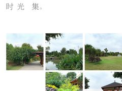 -鹅湖玫瑰文化园